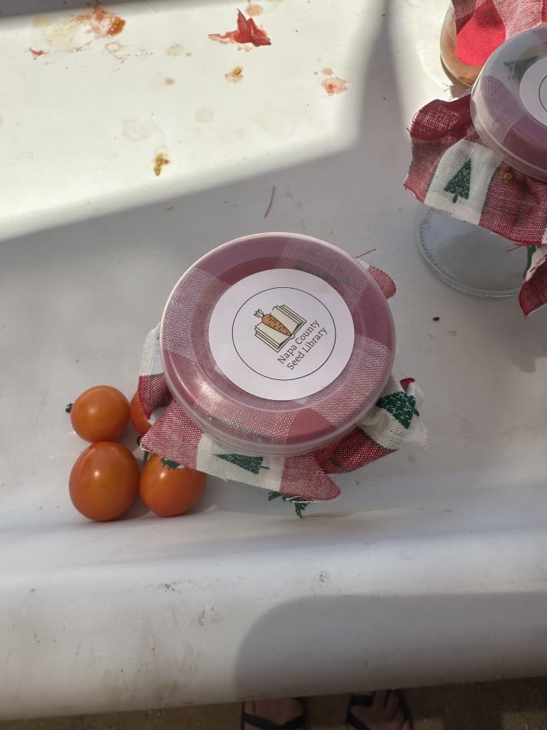 One method of saving tomato seeds, is to place in a clean glass jar. Lisa Adams Walter photo