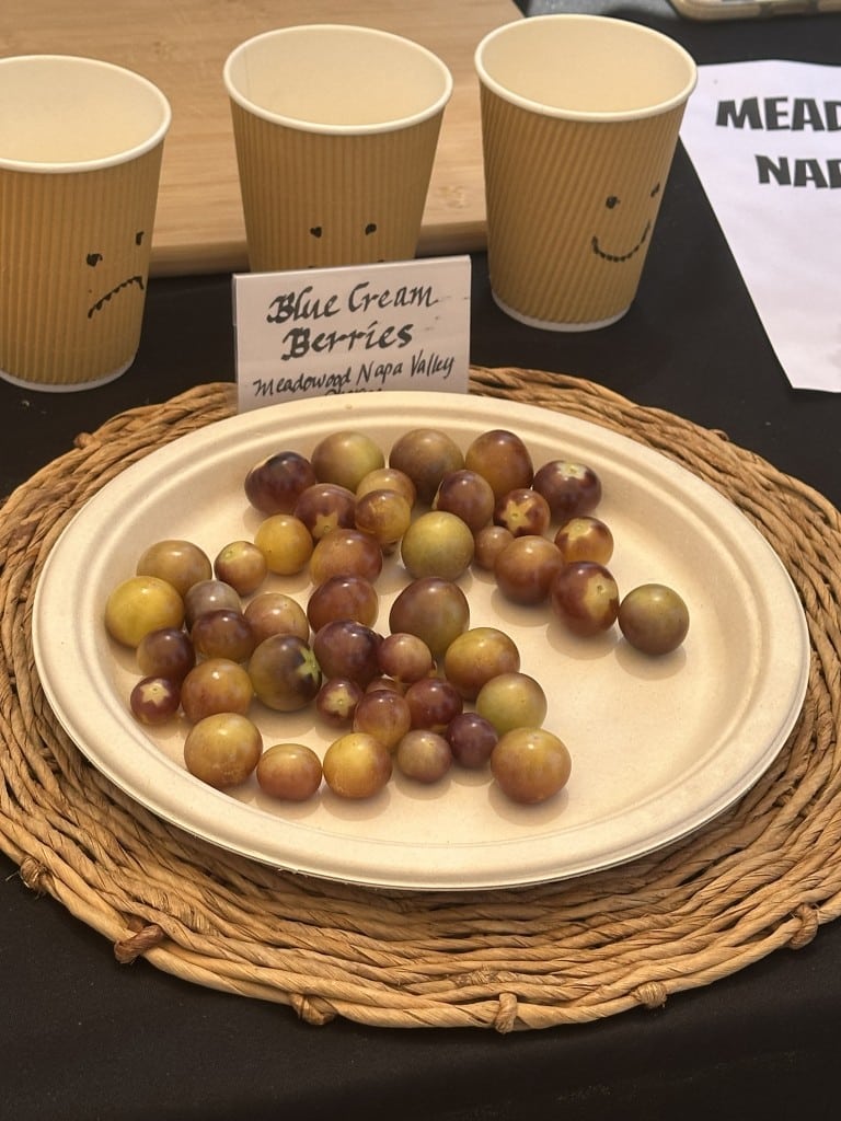 Blue Cream Berries tomatoes. Lisa Adams Walter photo