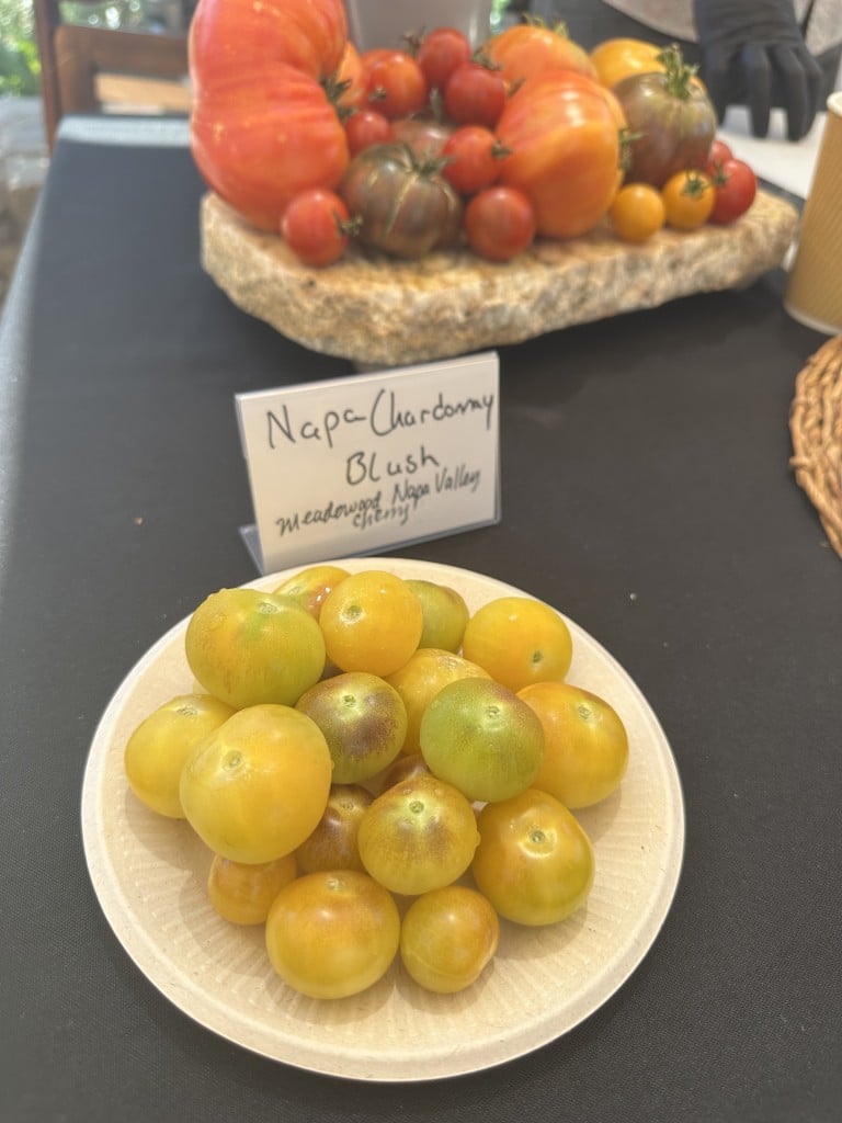 Napa Chardonnay Blush tomatoes. Lisa Adams Walter photo