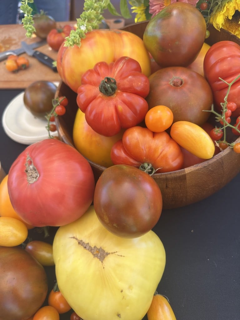 An array of tomatoes at Tomatoganza! 2025 at Copia on Aug. 10. Lisa Adams Walter photo