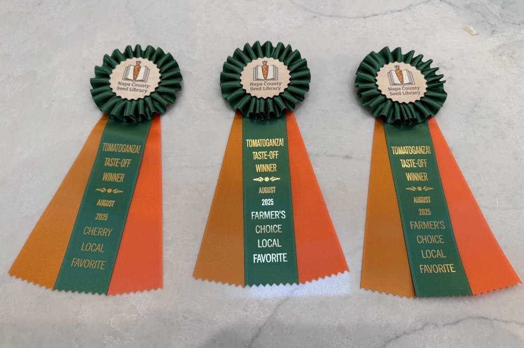 Tomatoganza! prizes awarded to Yountvillians. Ellen Chan photo