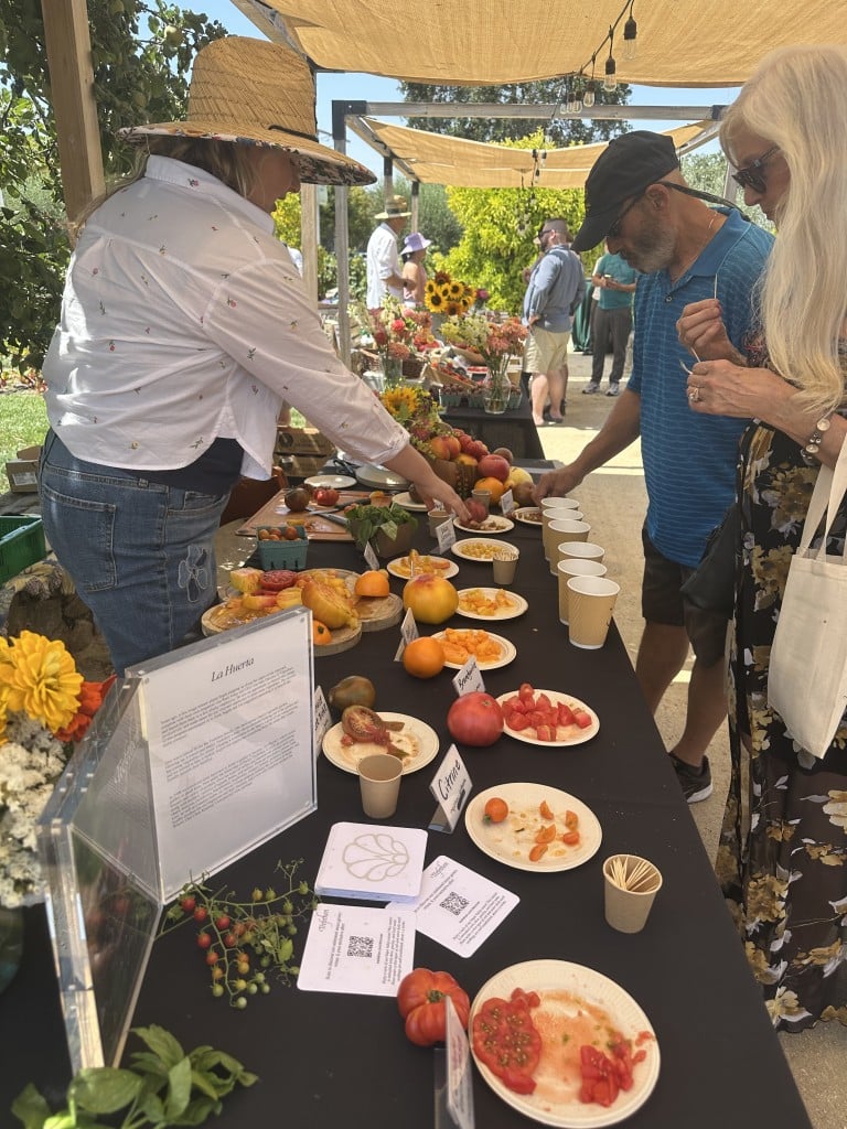 Tomatoganza! tasting and voting. Lisa Adams Walter photo