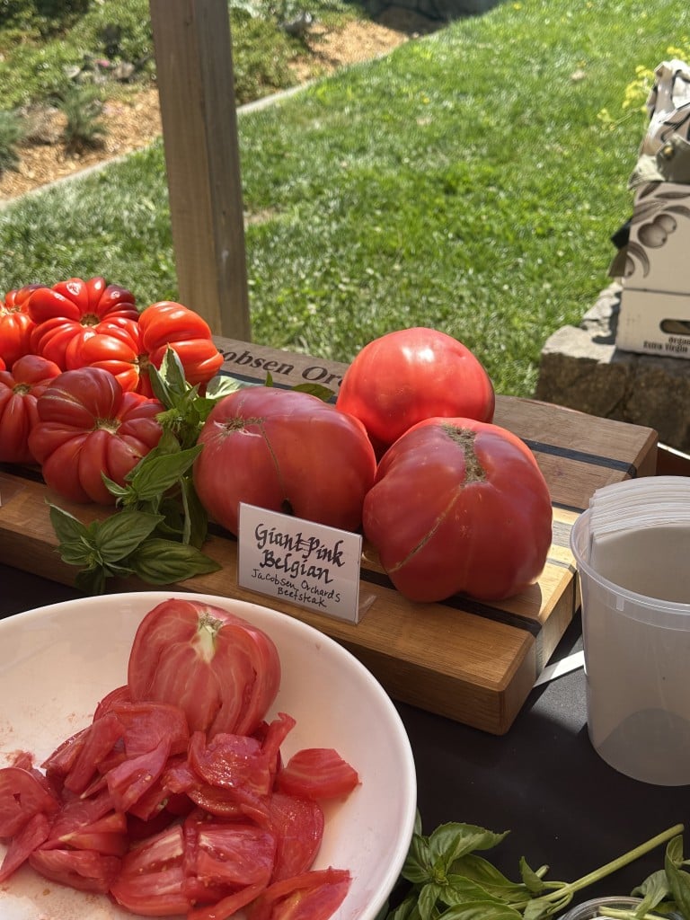 Jacobsen Orchards Giant Pink Belgian. Lisa Adams Walter photo