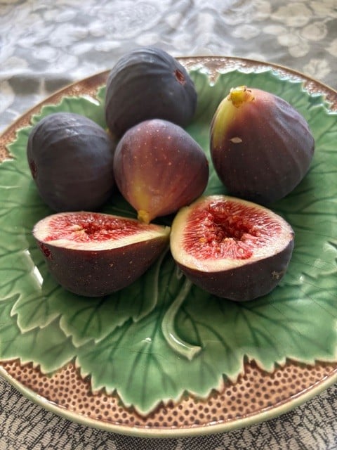 Mission figs. Cindy Watter photo