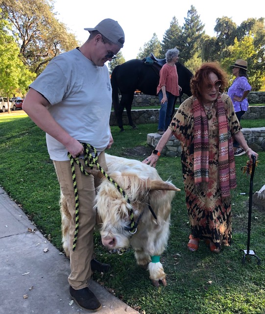 A Highland Cow was blessed in Yountville. Myrna David photo