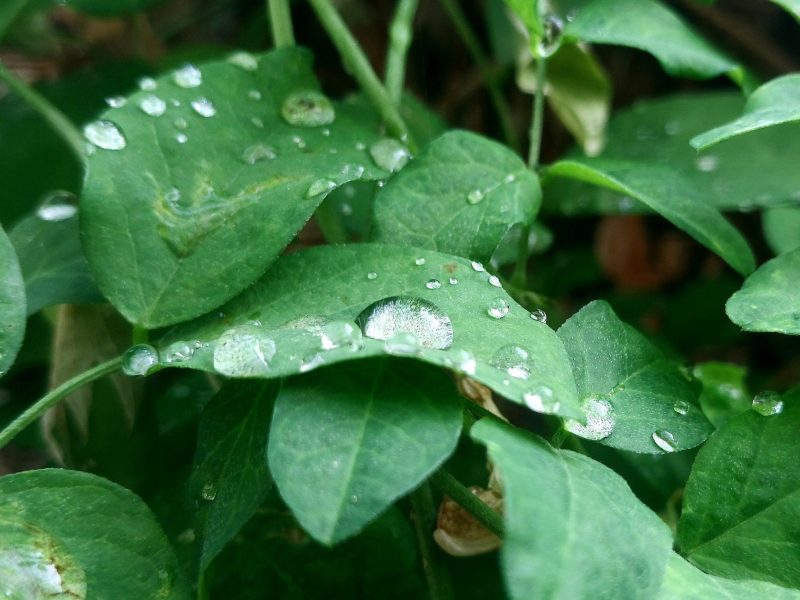 Anirban Chattaraj on Unsplash photo