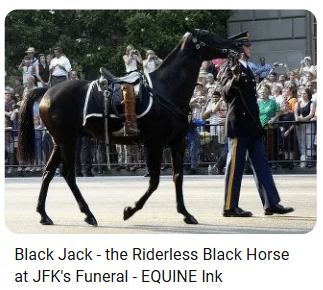 JFK Funeral Taps Ranndy Pina Loose Cannon