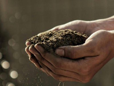 soil dirt master gardeners