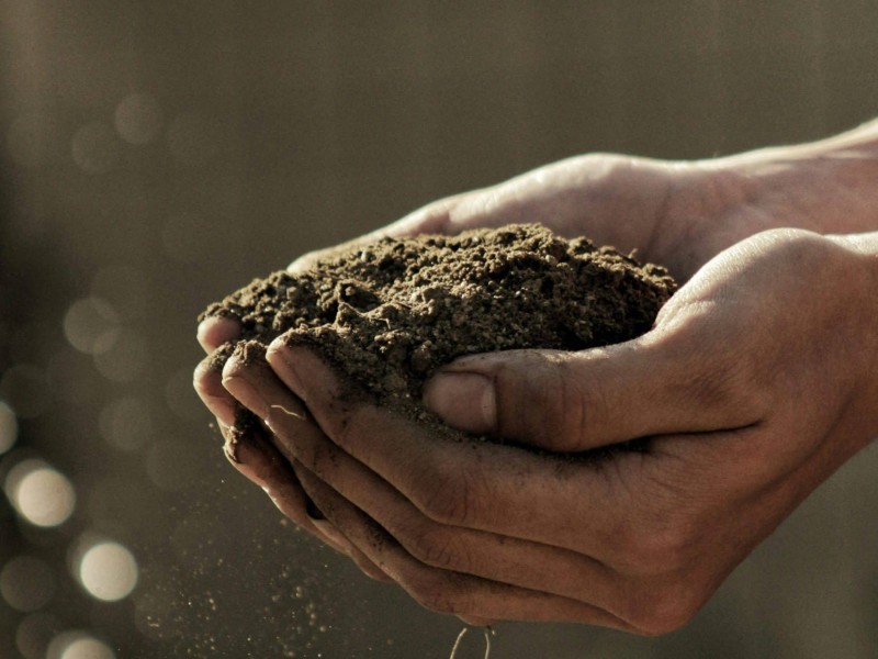 soil dirt master gardeners