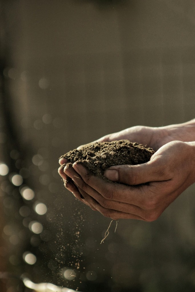 soil dirt master gardeners
