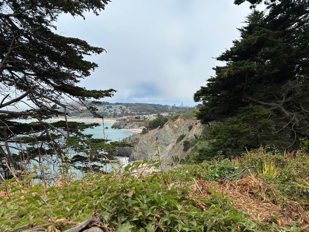 The coastal trail near Lands End on the way to the Golden Gate Bridge. John Schminky photo