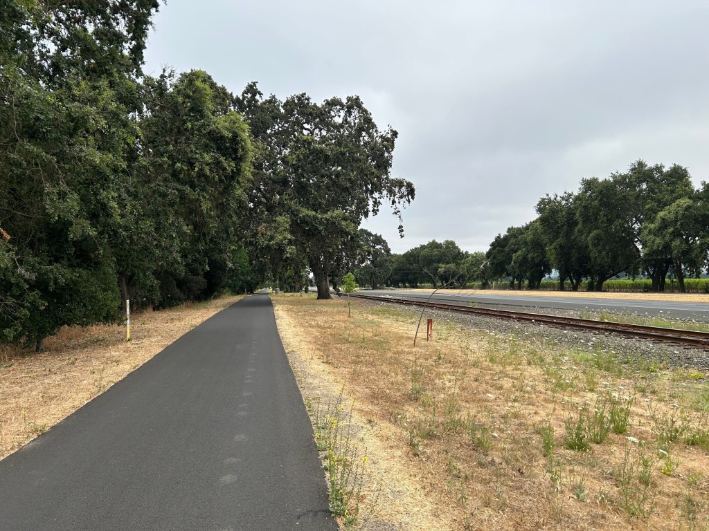 The Napa Valley Vine Trail near the Oak Knoll stop between Napa and Yountville. John Schminky photo