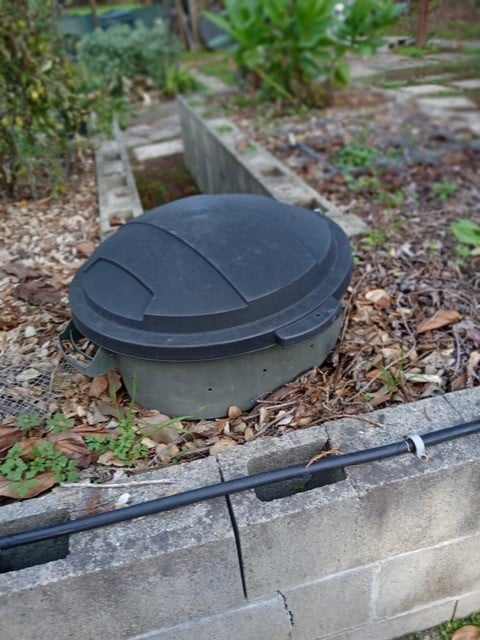The author's compost bin buried in her keyhole garden bed. Penny Pawl photo
