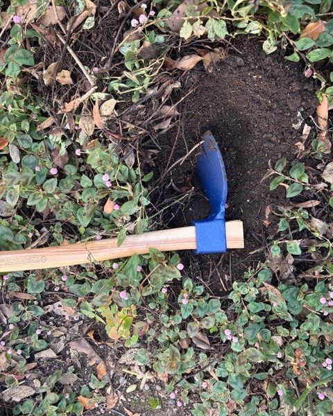 The author's "romantic" gardening gift, a forest adze. Cindy Watter photo