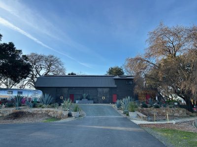 Hoopes Vineyard. Kerana Todorov photo