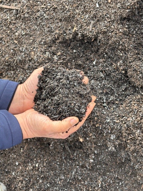 Finished municipal compost. Cindy Watter photo