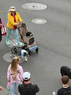 Toni Wilson and Baker. Susan Wiechers photo