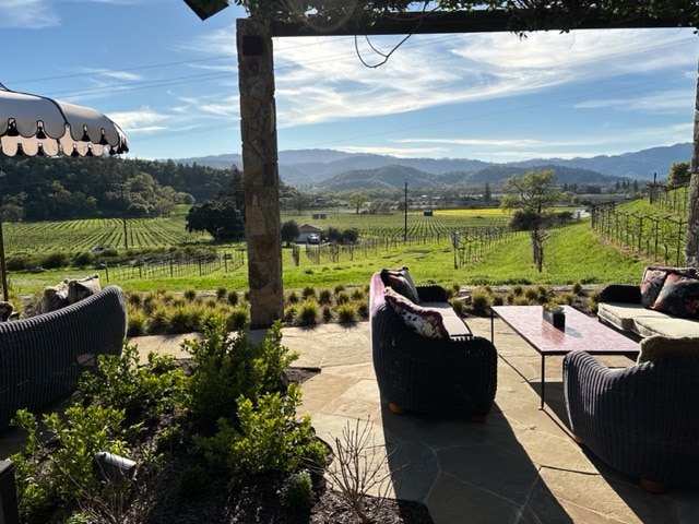 Lewis Cellars vineyard view. Galen Hayes photo