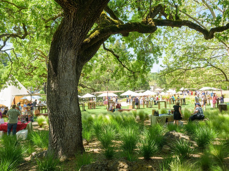 Taste of Yountville, held at Chandon, will return on April 26. Submitted photo