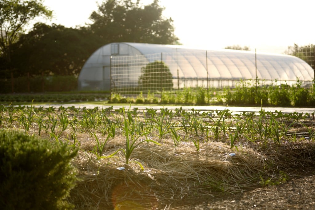 The French Laundry Garden in Yountville David Escalante photo