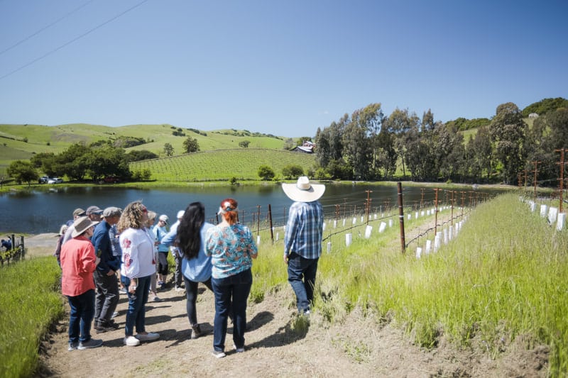 The Napa Valley Grapegrowers and Napa Valley Vintners present Afternoon in the Vineyards. Submitted photo