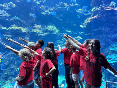 Camp Yville 2026 campers enjoy an aqua excursion. Submitted photo