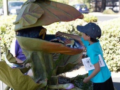 Napa County Master Gardener Fall Faire. Rayna Jeramias photo