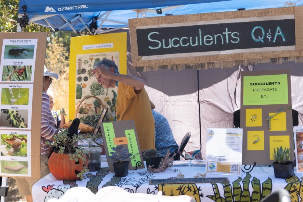 Napa County Master Gardener Fall Faire. Rayna Jeramias photo