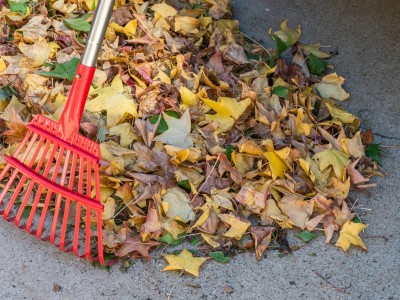 Photo of leaves and a rake by Wendell Shinn on Unsplash
